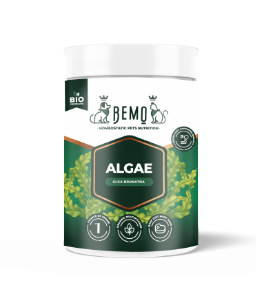 Bemo Algae - alga brunatna dla psa i kota