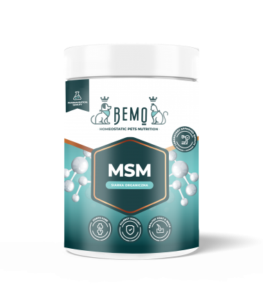 Bemo MSM dla psa i kota